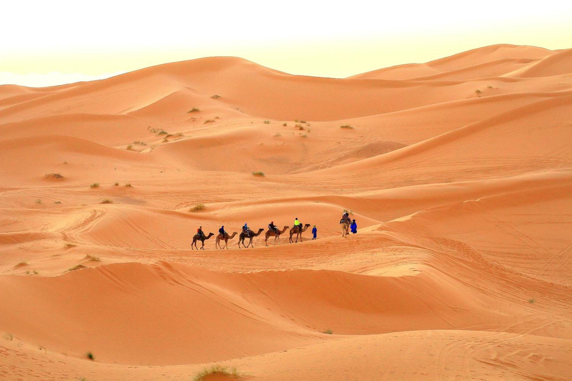 Tafouyte Luxury Camp Hotel Merzouga Ruang foto